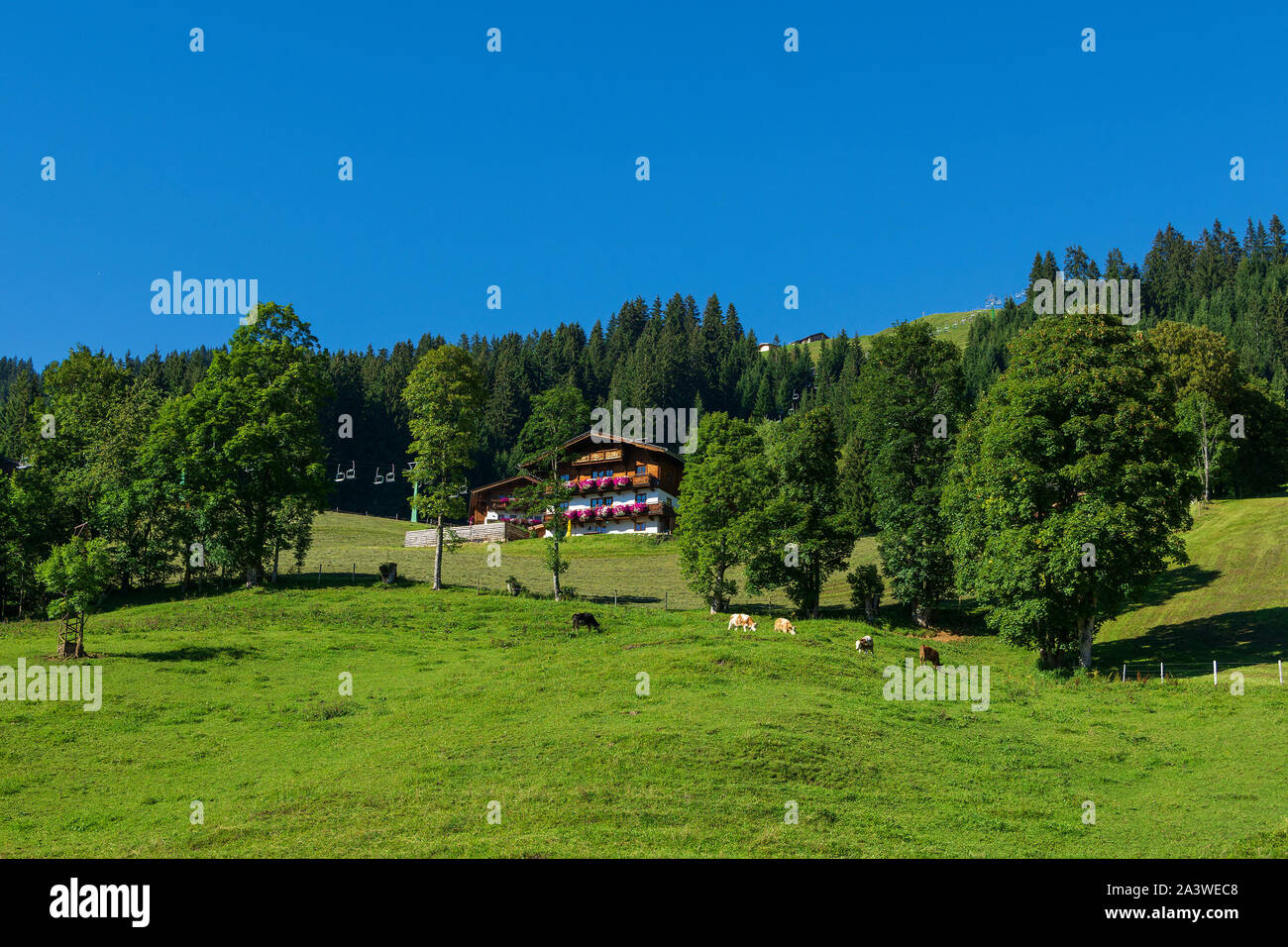 Bel paesaggio dal monte Hohen Salve , parte di Kitzbuhel Alpi, Austria Foto Stock