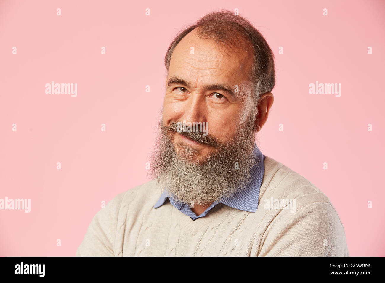 Close-up di uomo maturo con barba grigia sorridente in telecamera su sfondo rosa Foto Stock
