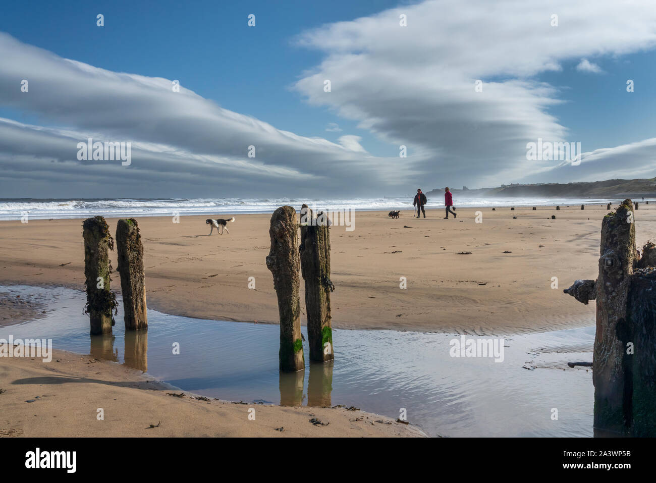 La gente camminare cani sulla spiaggia a Sandsend vicino a Whitby, North Yorkshire, Regno Unito. Foto Stock