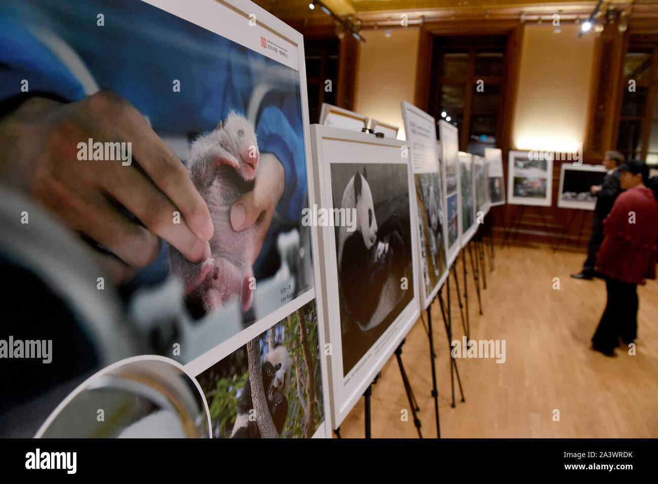 Vienna, Austria. 9 Ott, 2019. Persone di visualizzare una mostra fotografica in un evento tenutosi a promuovere la cultura e il turismo del sud-ovest della Cina di provincia di Sichuan a Vienna, la capitale dell'Austria, il 9 ottobre, 2019. Credito: Guo Chen/Xinhua/Alamy Live News Foto Stock