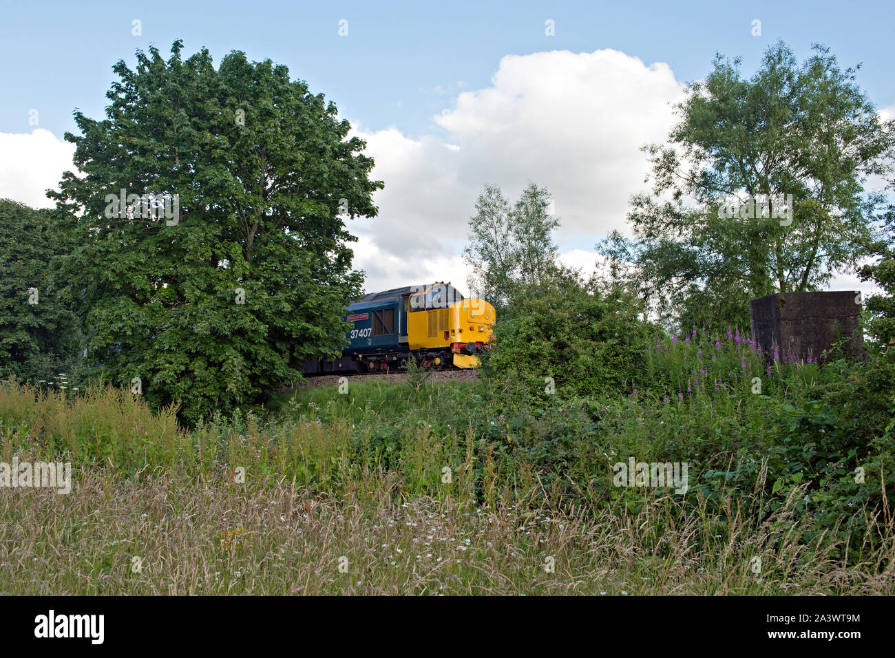 British Railways classe 37 Diesel Locomotiva Elettrica n. 37409 visto vicino Brundall sulle linee Wherru tra Lowestoft e Norwich Foto Stock