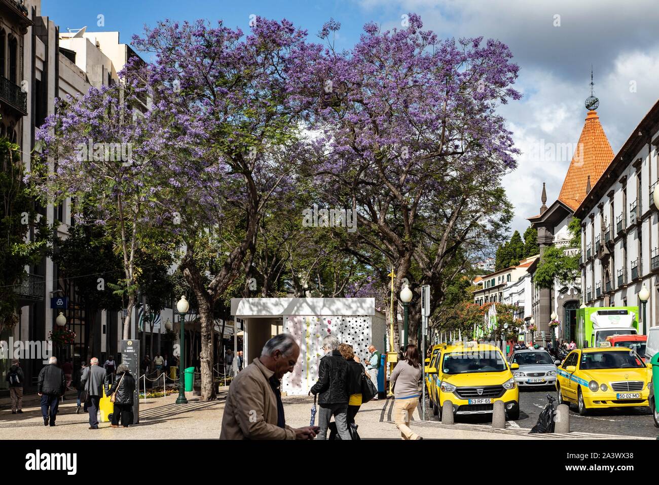 TAXI, AV ARRIAGA, scene di strada, Funchal, isola di Madeira, Portogallo Foto Stock