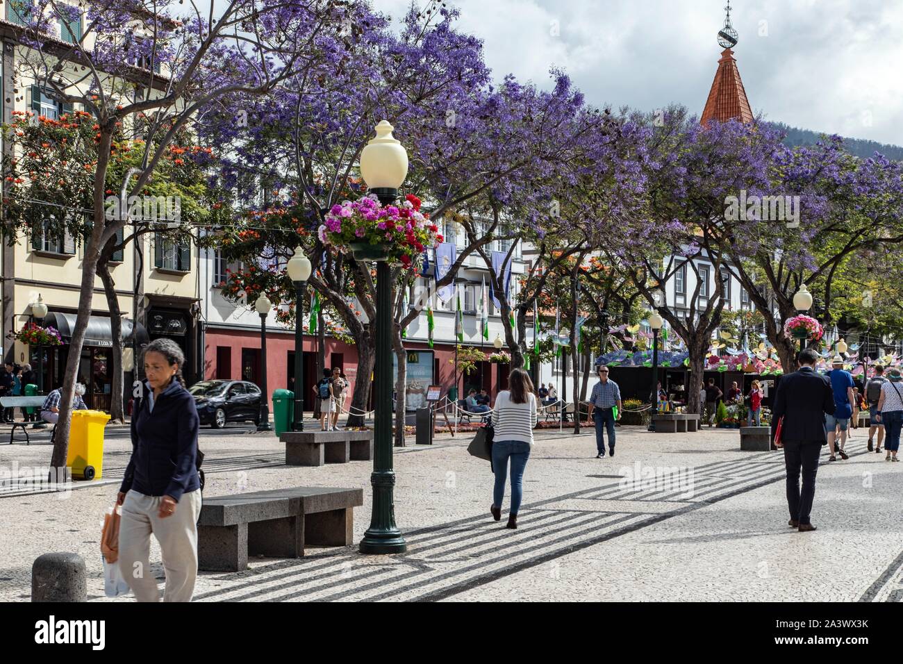 AV ARRIAGA, scene di strada, Funchal, isola di Madeira, Portogallo Foto Stock