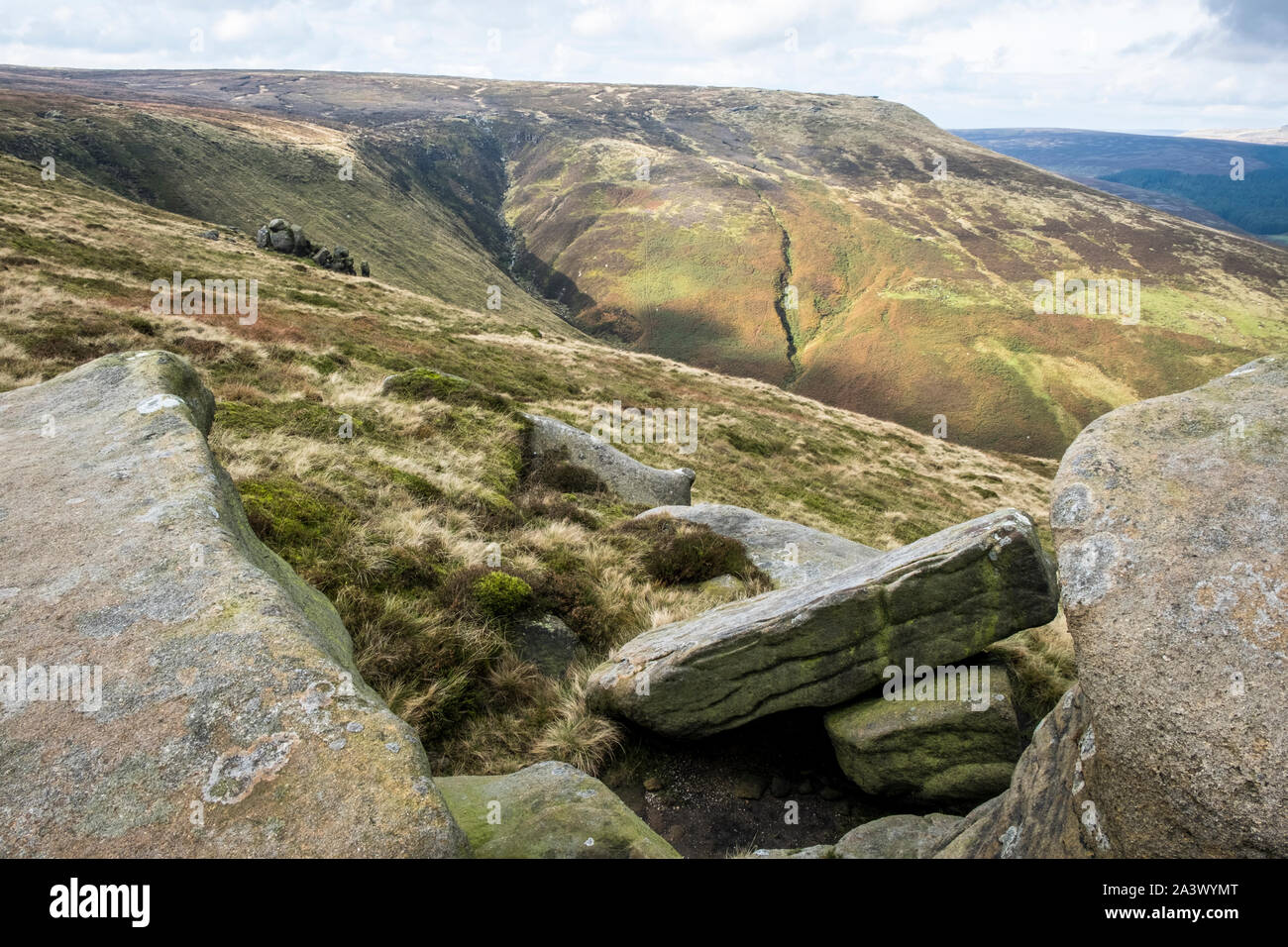 Vista della brughiera lungo la sezione occidentale del bordo Blackden verso Blackden Brook, Kinder Scout, Derbyshire, Parco Nazionale di Peak District, England, Regno Unito Foto Stock