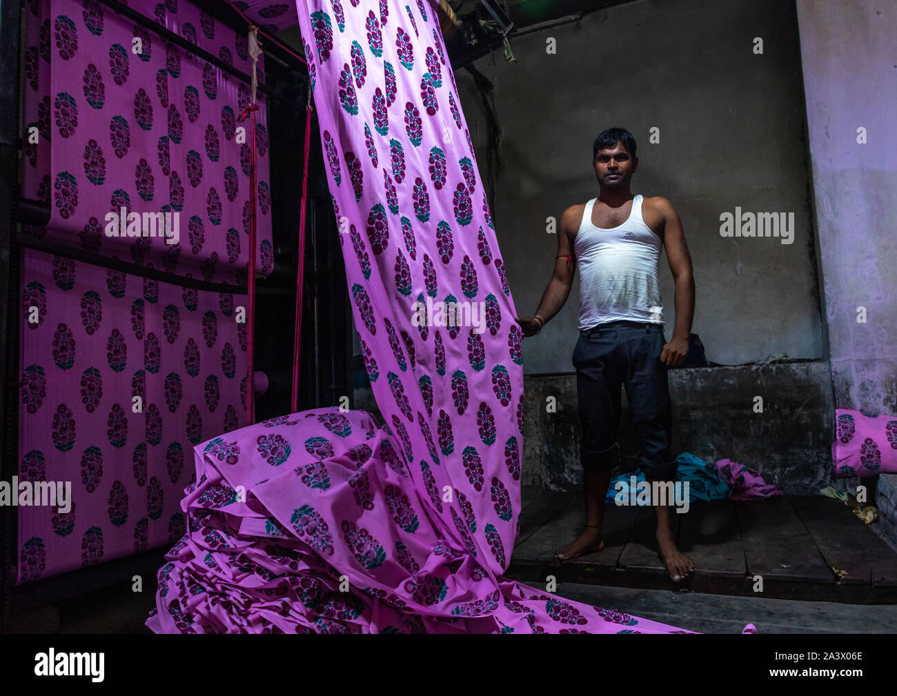Indian lavoratore in una fabbrica di saree, Rajasthan, Sanganer, India Foto Stock
