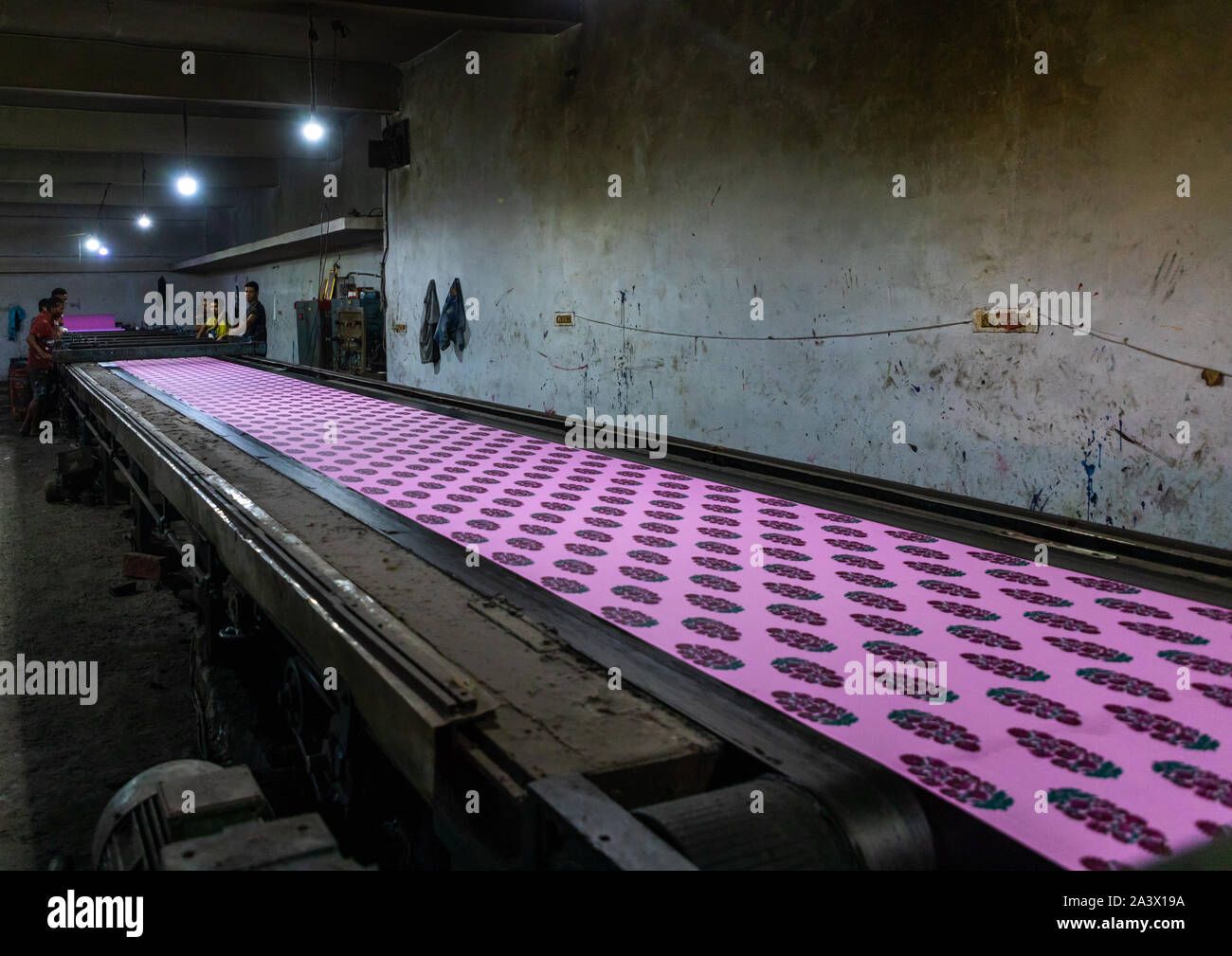 Tessuti stampati all'interno di una fabbrica di saree, Rajasthan, Sanganer, India Foto Stock