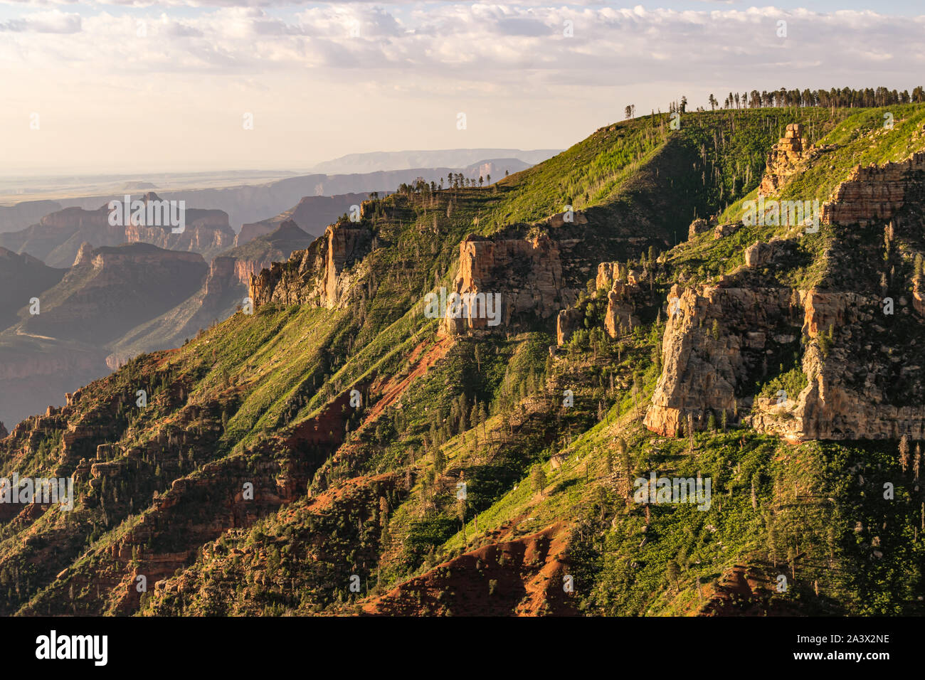 Vista della sella Mountain Wilderness e Grand Canyon North Rim al Kaibab National Forest. Foto Stock