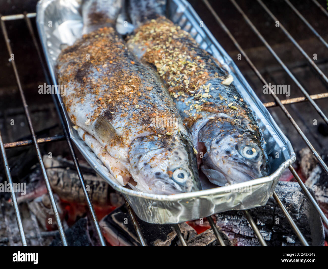Fresca trota speziato alla griglia Foto Stock