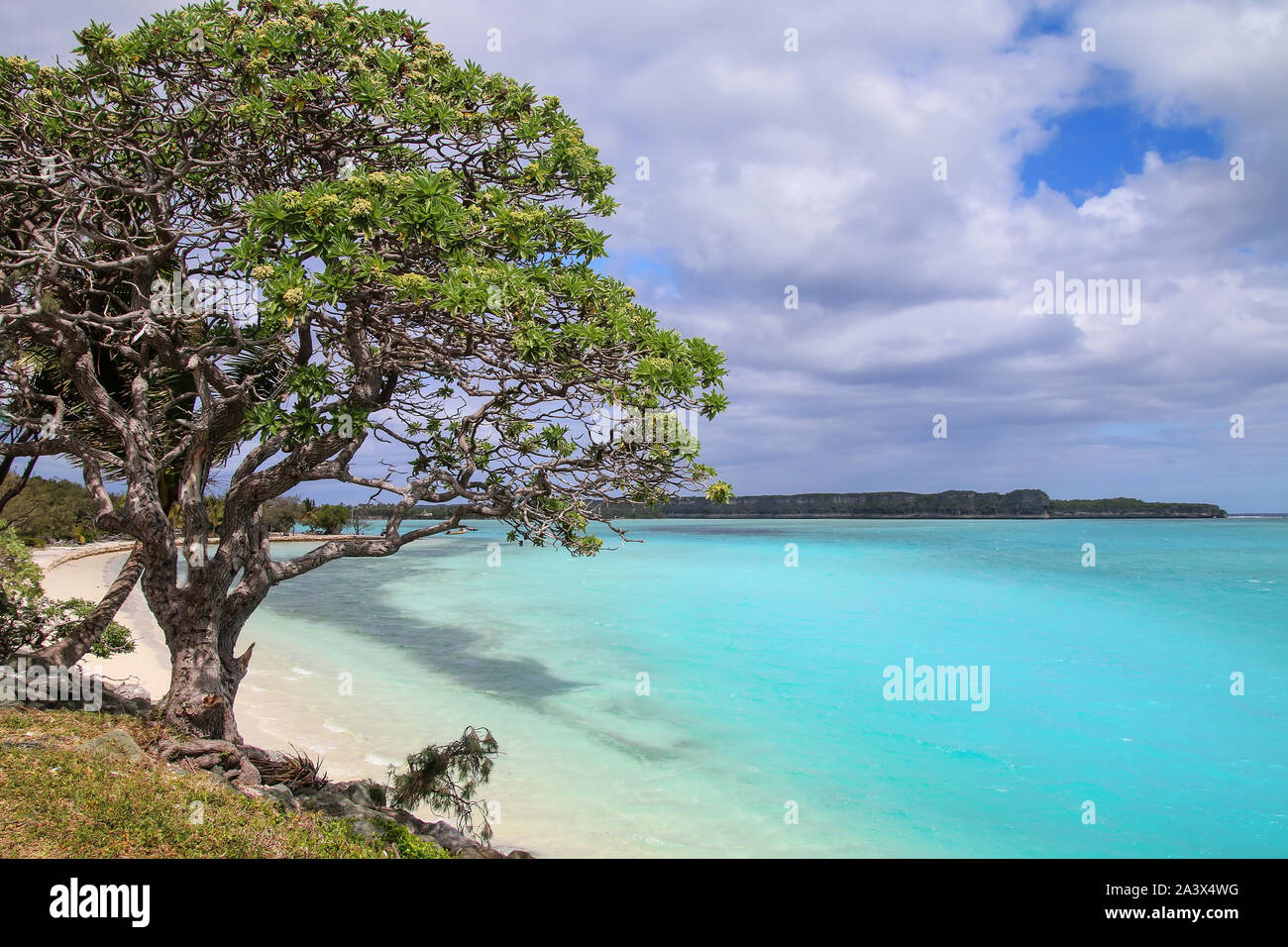 Lekiny Bay sull'isola Ouvea, Isole della Lealtà, Nuova Caledonia. Foto Stock