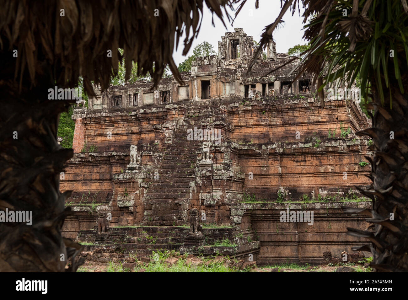 Vista su un tempio di Angor, Cambogia Foto Stock