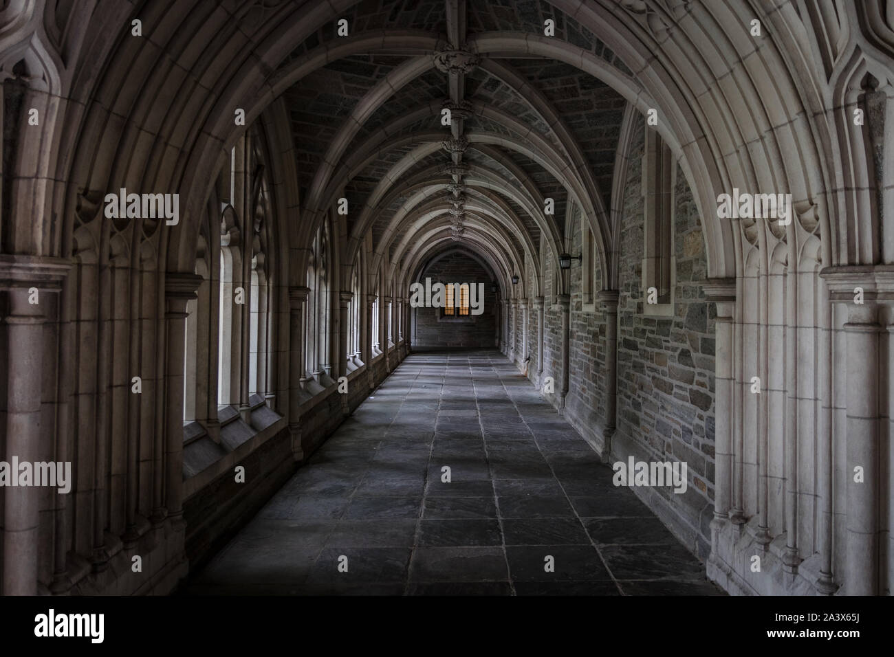 Archi del chiostro nel campus della Princeton University Foto Stock