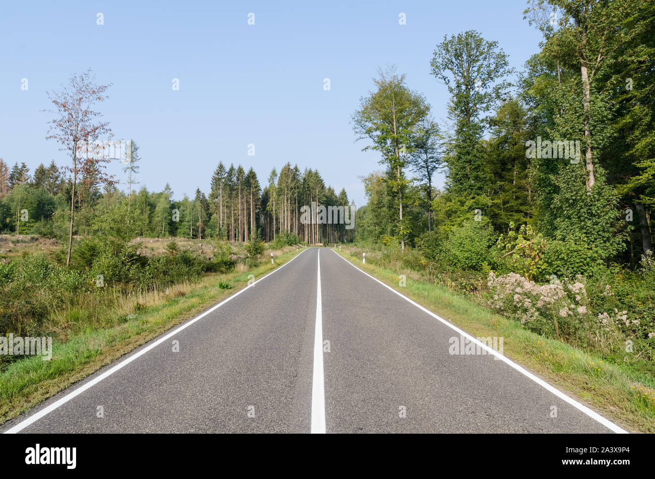 Strada vuota con delineatori e marcature in campagna in Germania Foto Stock