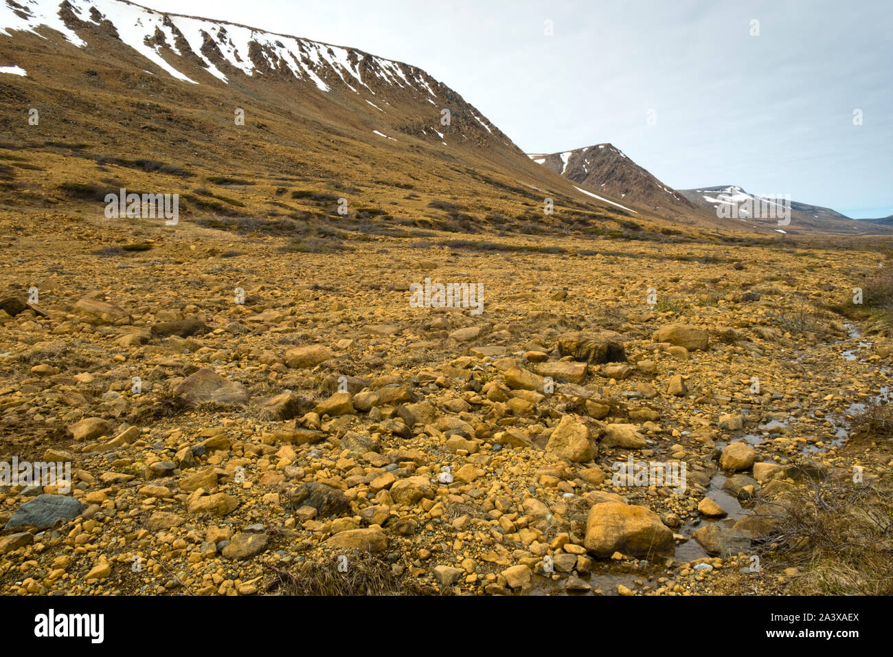Alpeggi in Parco Nazionale Gros Morne, Terranova Foto Stock