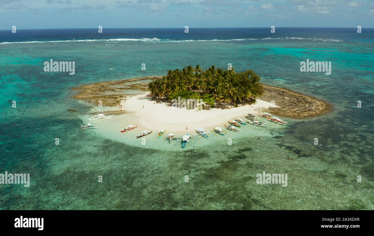 Isola tropicale con spiaggia bellissima, palme e acqua turchese vista da sopra. Isola Guyam, Filippine, Siargao. Estate viaggi e concetto di vacanza Foto Stock