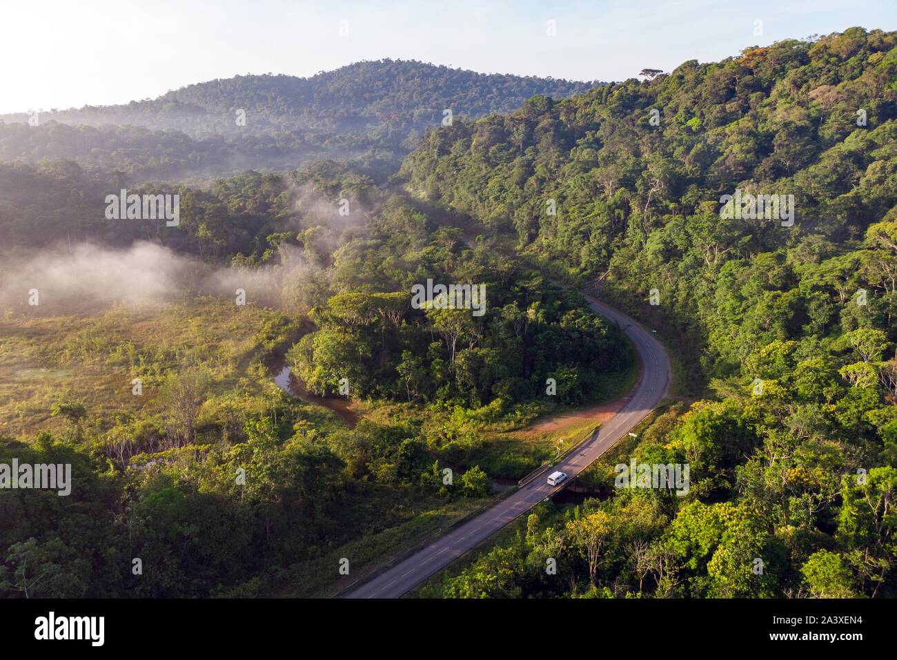 Vista della tettoia di Amerindian foresta tra REGINA E CACAO, Guiana francese, Dipartimento d'oltremare, SUD AMERICA, Francia Foto Stock