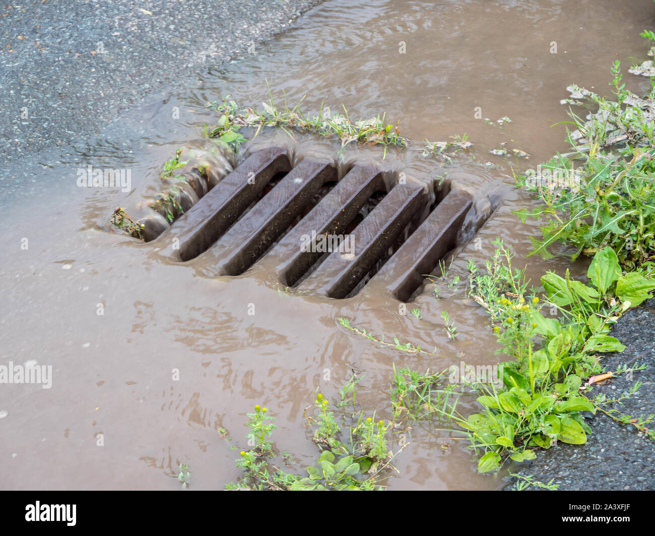 Heavy Rain nel pozzo Foto Stock