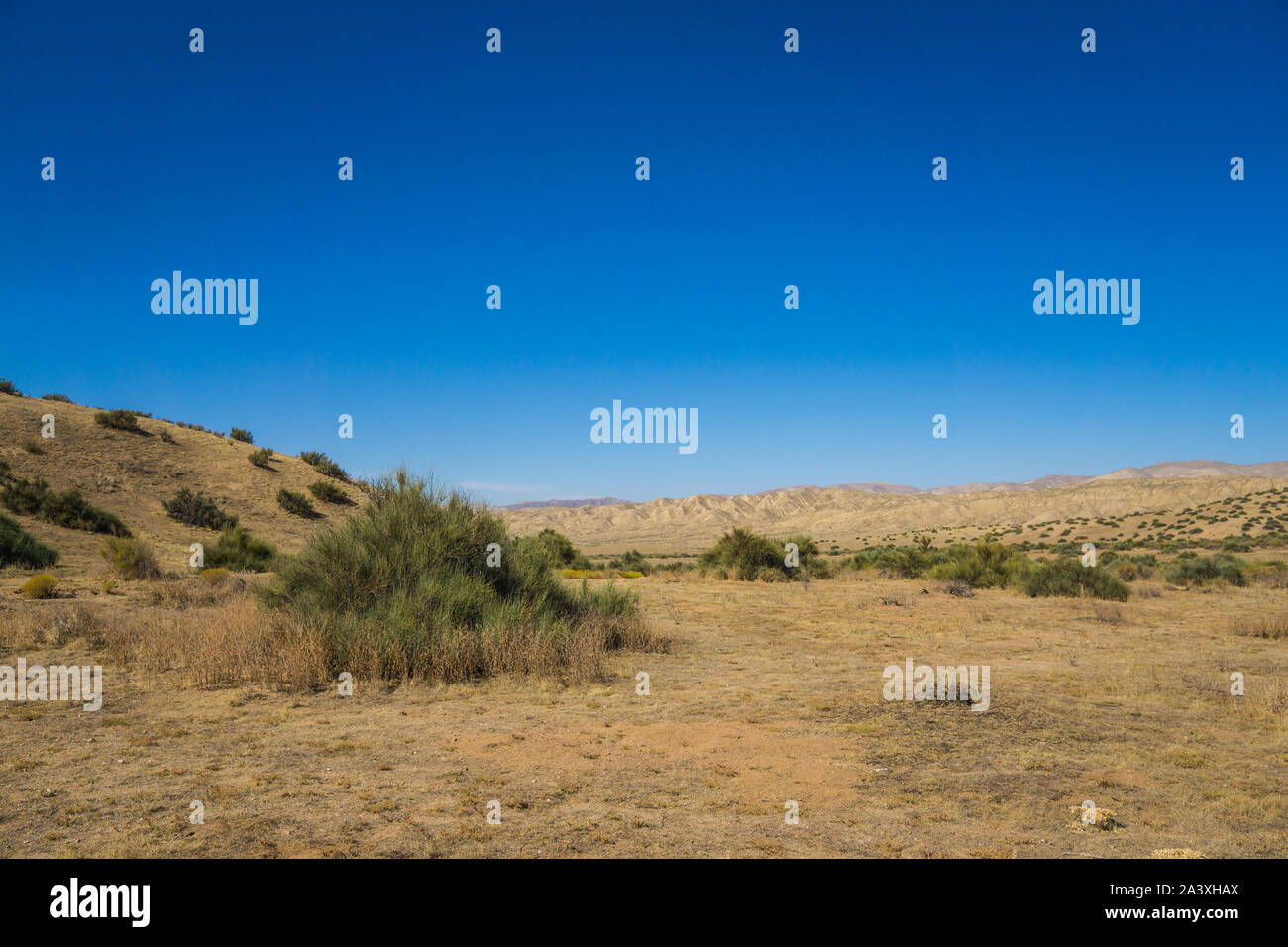 Ampia vastità vuoto del Deserto Mojave nel sud della California. Foto Stock