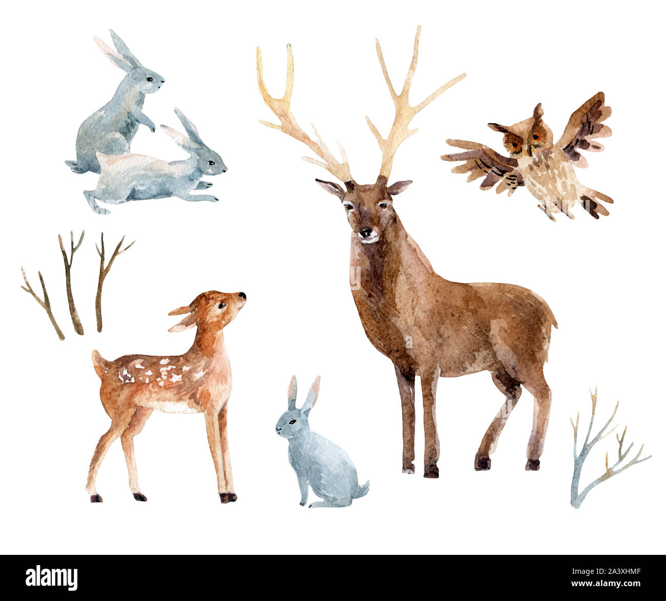 Acquerelli di cervo con capretta, conigli, uccelli isolati su sfondo bianco. Selvatica Animali della foresta set. Dipinto a mano illustrazione invernale Foto Stock