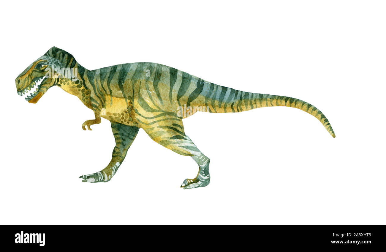 Tyrannosaurus Rex. Acquerello illustrazione di dinosauro Foto Stock