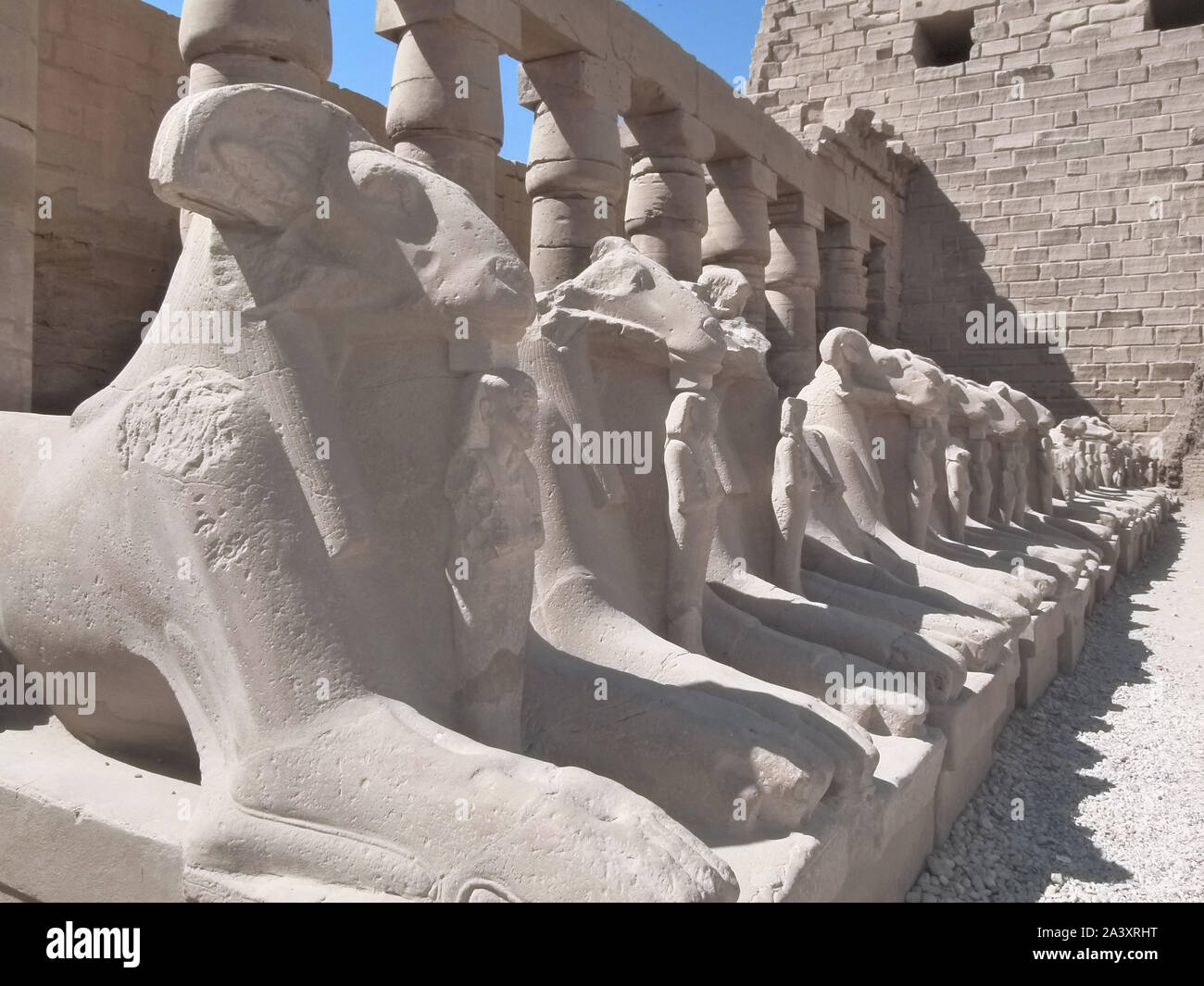Egypte, mer rouge récifs coralliens et de templi di Karnak Foto Stock