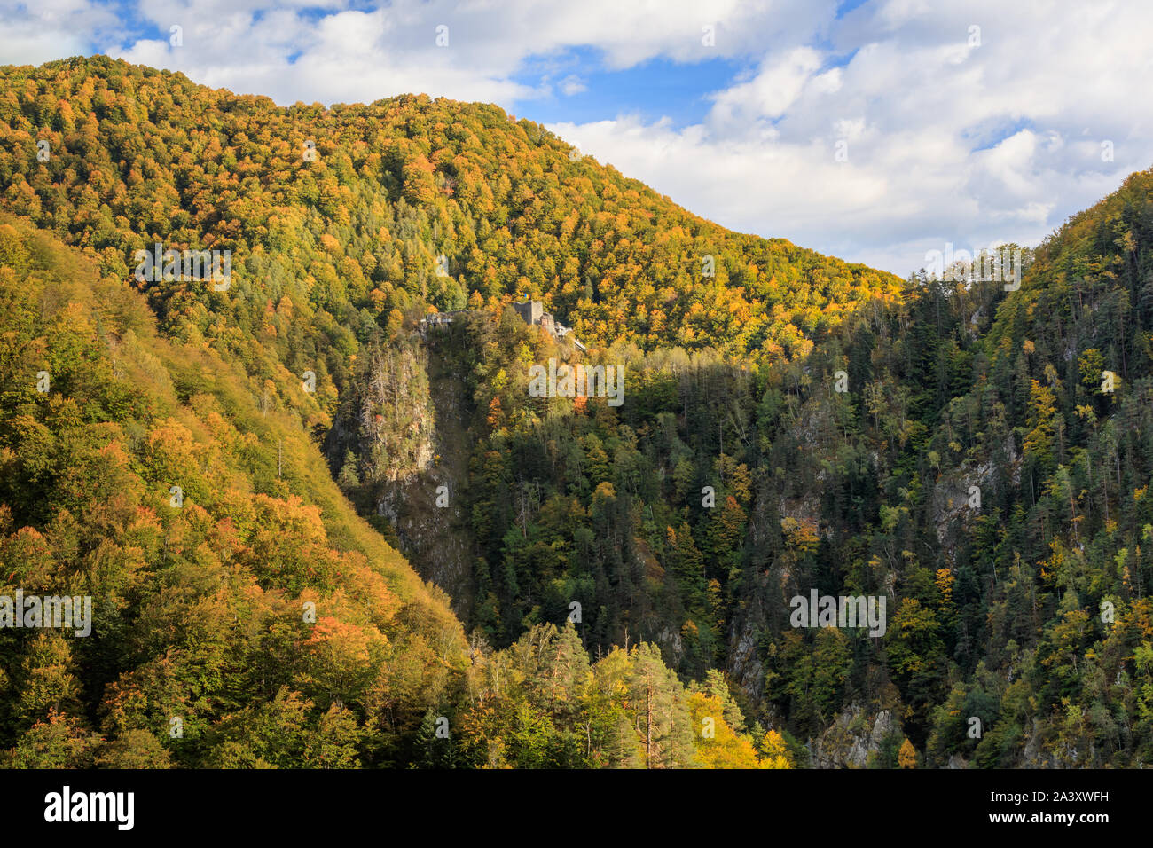 Rovinato fortezza Poenari sul Monte Cetatea in Romania Foto Stock