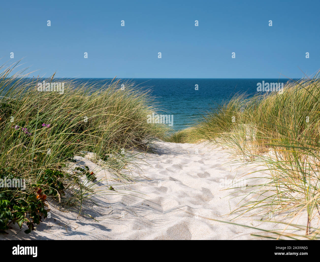 Spiaggia off a Sylt in Germania Foto Stock