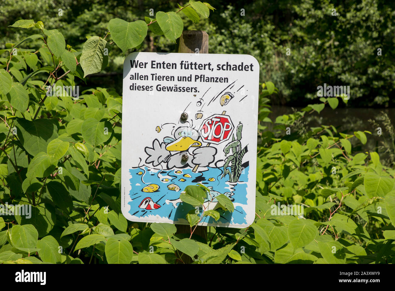 Segno su un corpo di acqua indica che entrano e altri uccelli di acqua non dovrebbe essere alimentato, Foto Stock