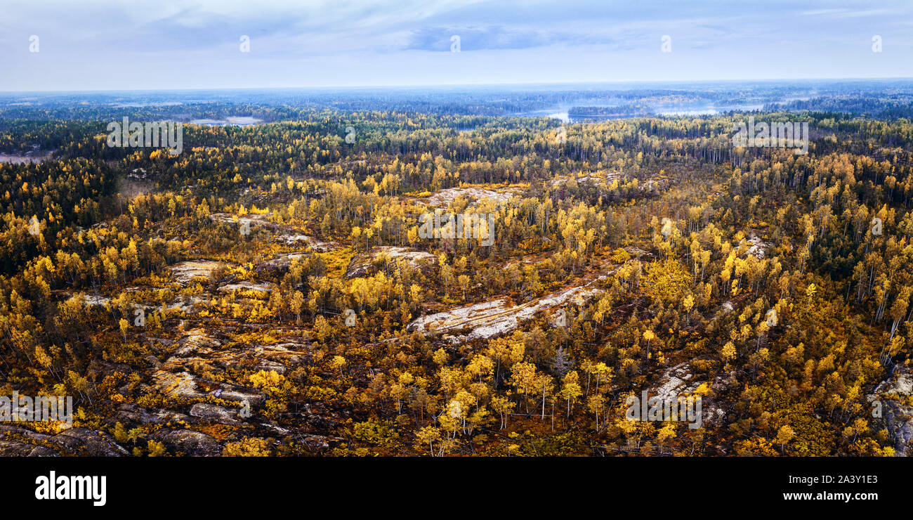 Infinite foreste d'autunno. Antenna luminoso panoramico paesaggio boschivo con laghi e cielo Foto Stock