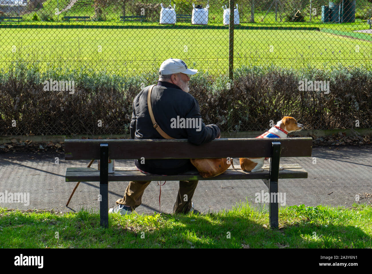 Un uomo seduto su una panchina nel parco con il suo cane Foto Stock