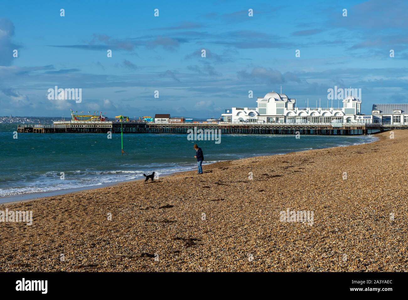 Una donna di mezza età a piedi il suo cane su una spiaggia di ciottoli con South Parade pier southsea in background Foto Stock