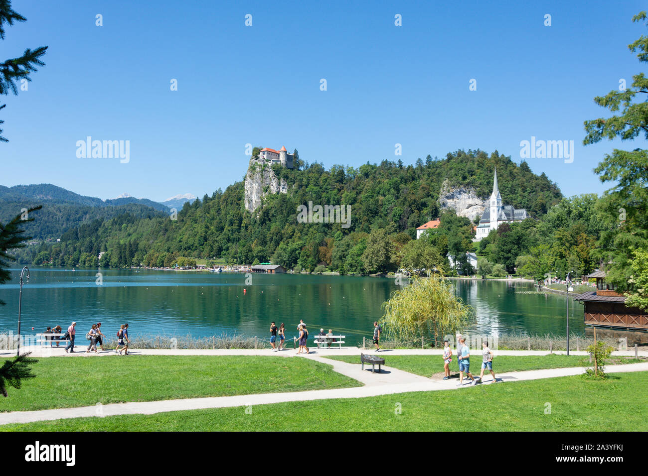 Vista di Riva e il castello di Bled, lago di Bled Bled, Alta Carniola Regione, Slovenia Foto Stock