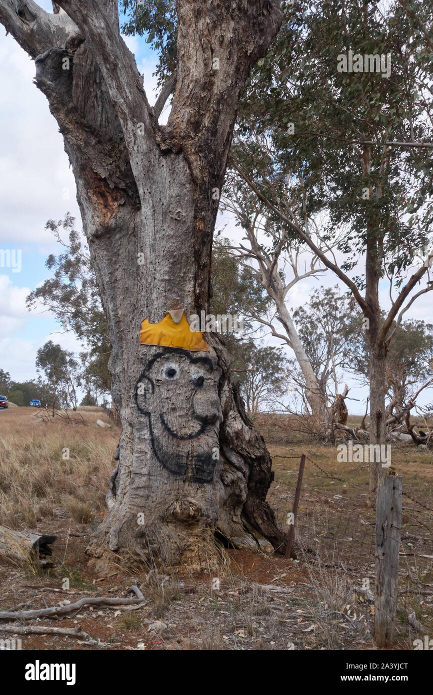 Una faccia con la corona dipinta su un burl di un vecchio albero. Foto Stock