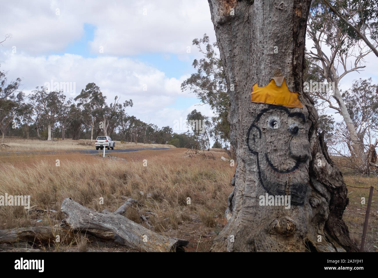 Un grosso modo immagine dipinta di un volto sul burl di un vecchio albero accanto a un'autostrada rurale a Attunga Australia. Foto Stock