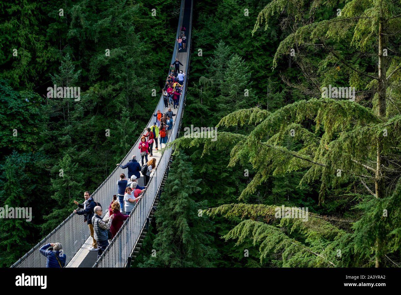 Ponte Sospeso di Capilano Park, North Vancouver, British Columbia, Canada Foto Stock