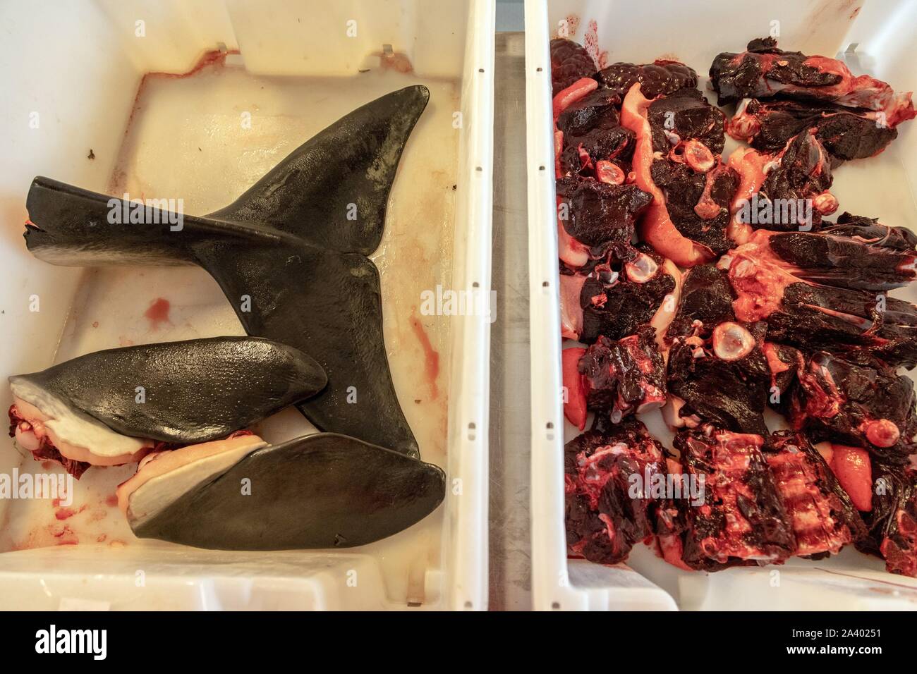 Pezzi di guarnizione e carne di balena, mercato del pesce, SISIMIUT, Groenlandia, DANIMARCA Foto Stock
