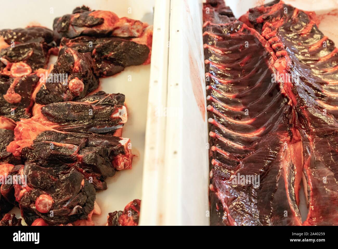 La carcassa di una guarnizione di tenuta e la sua nervature, mercato del pesce, SISIMIUT, Groenlandia, DANIMARCA Foto Stock