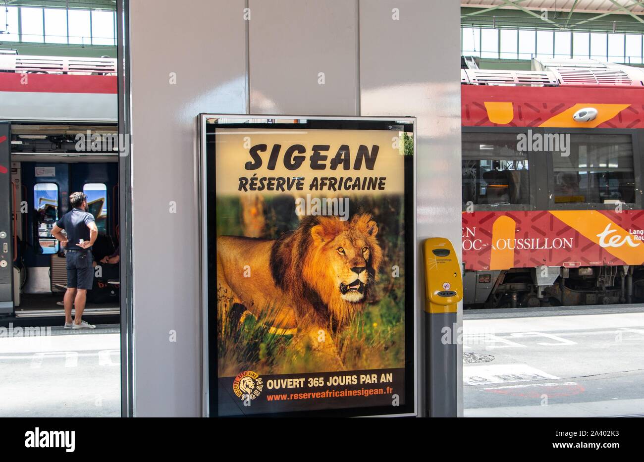 Il poster di un leone dalla Riserva africana di Sigean nella sala principale della stazione ferroviaria, Perpignan (66), Francia Foto Stock
