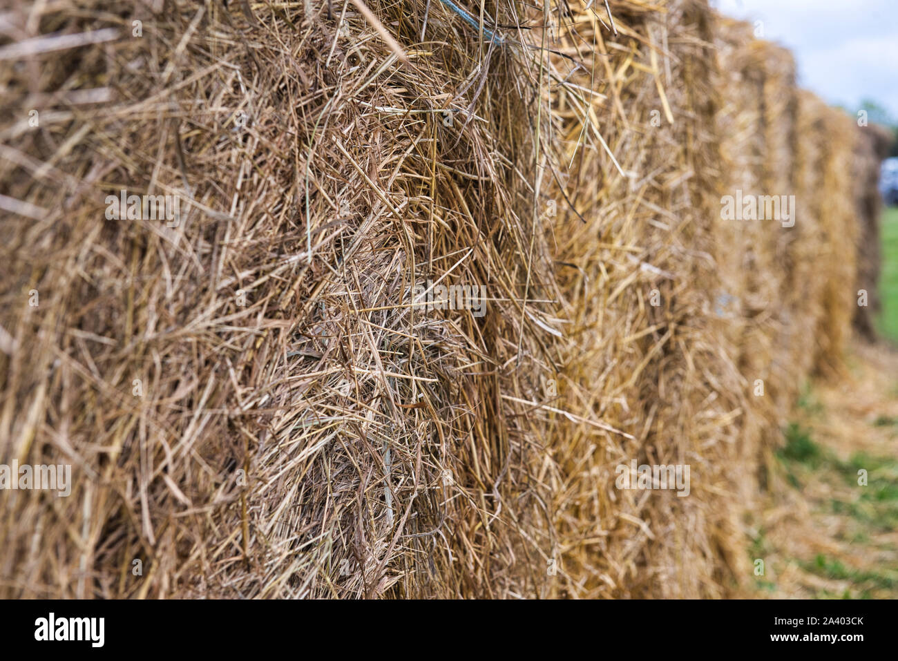 Close-up di rotoli di fieno in una fattoria Foto Stock