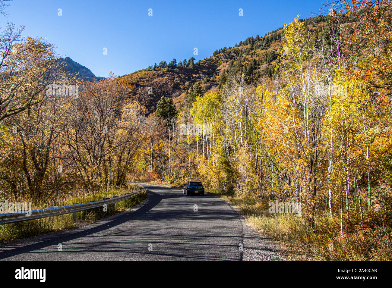 L'Alpine Scenic Loop, parte dell'Uinta-Wasatch-Cache National Forest Foto Stock
