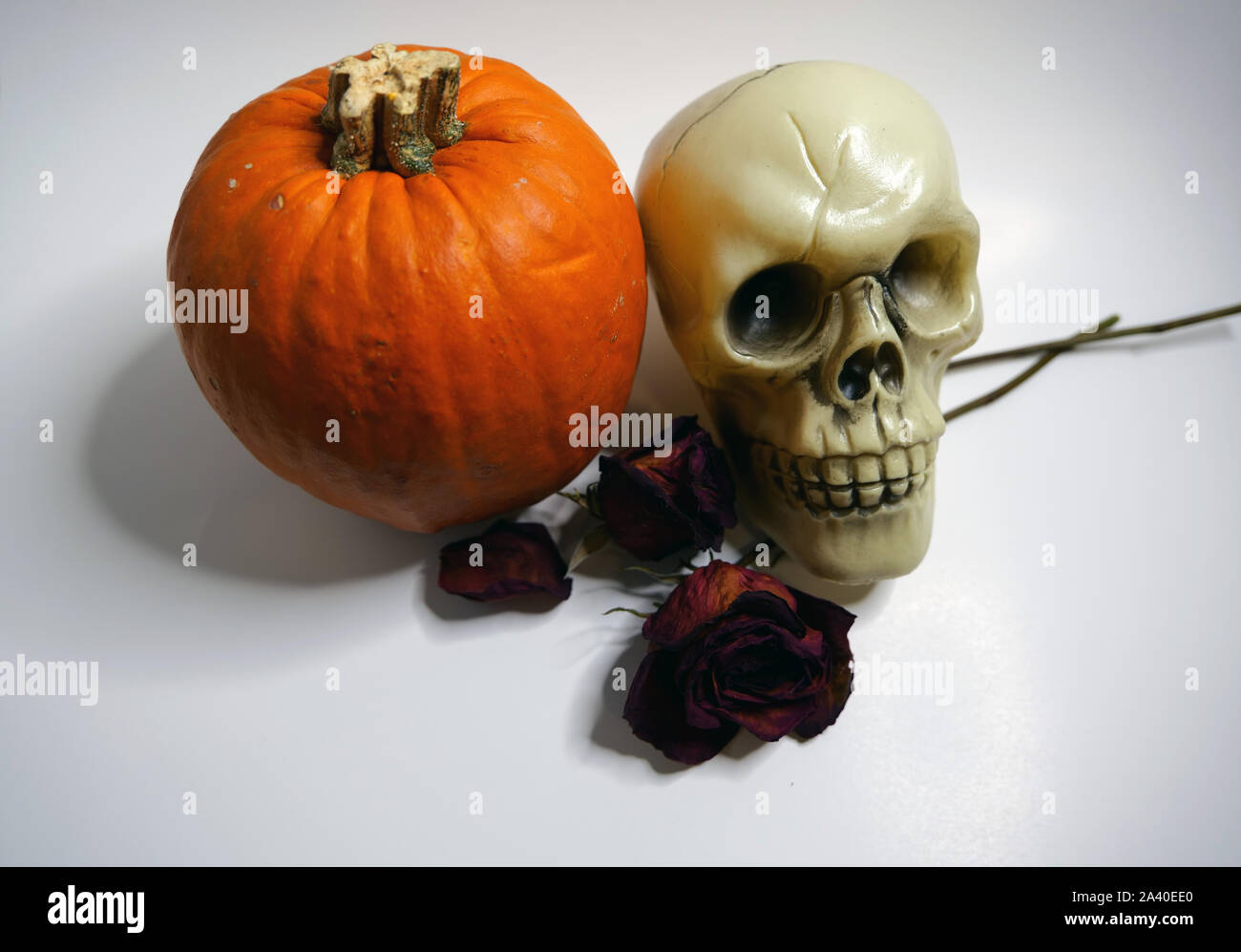 Semplice, accogliente ed economico Centritavola Halloween del cranio, rose, e zucca su sfondo bianco Foto Stock