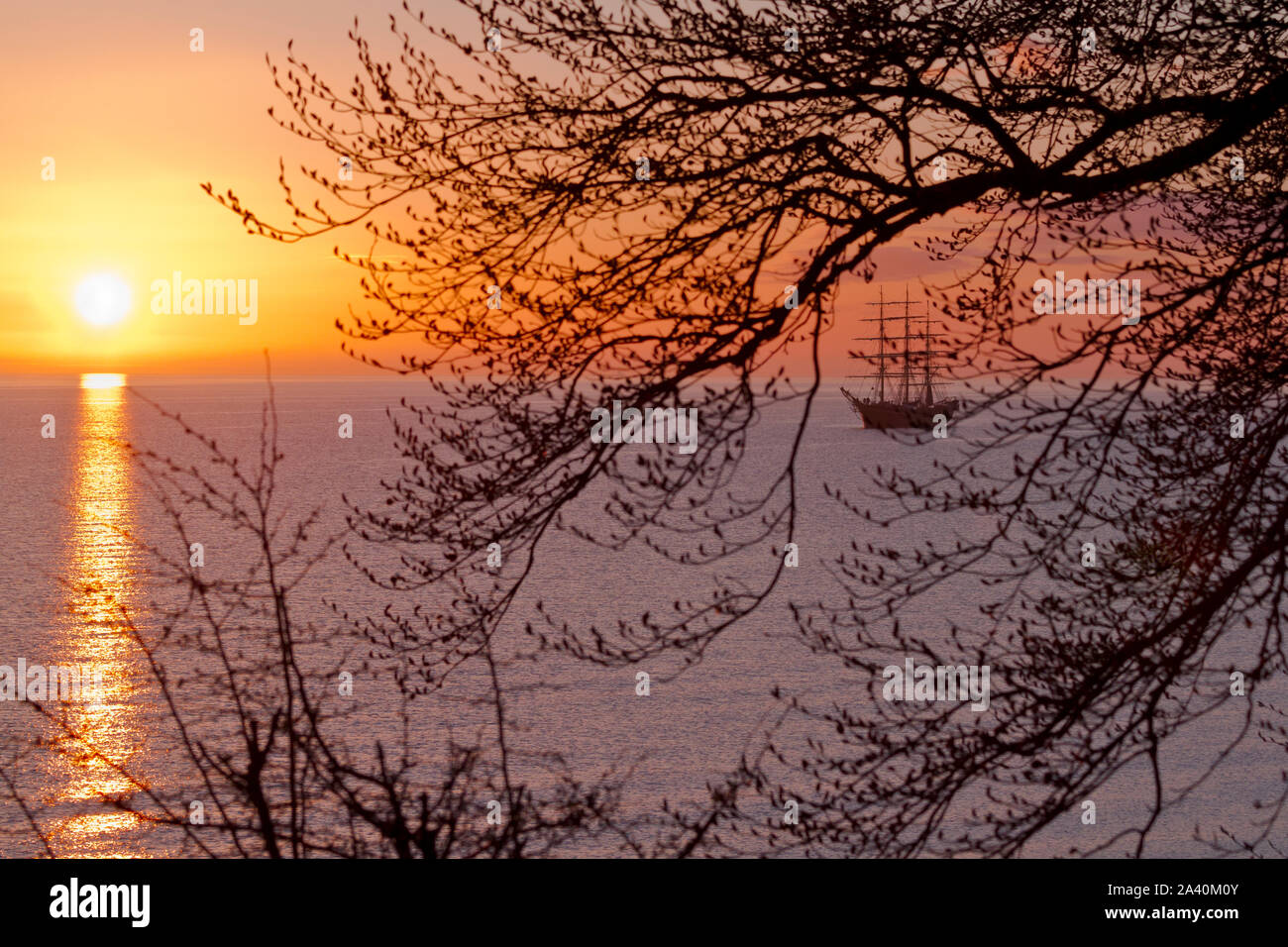 Georg stadio, una tre-masted full-truccate formazione danese tall ship in sunrise nel suono in Danimarca. Una mattina di primavera visto attraverso i rami e ramoscelli Foto Stock