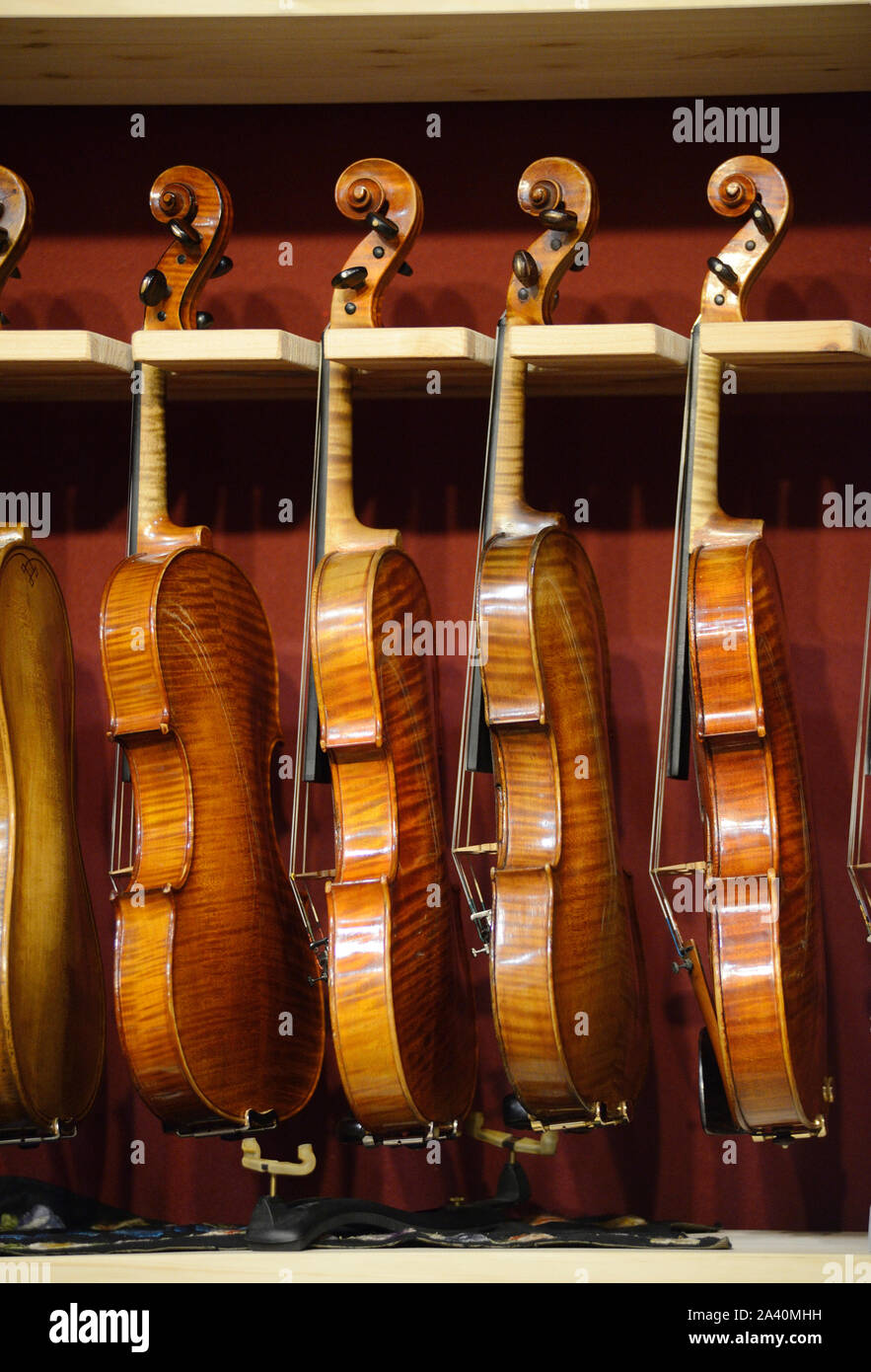 L'Italia, Regione Lombardia, Cremona CREMONA Musica mostre internazionali e Festival 2019, violini in piedi Foto Stock