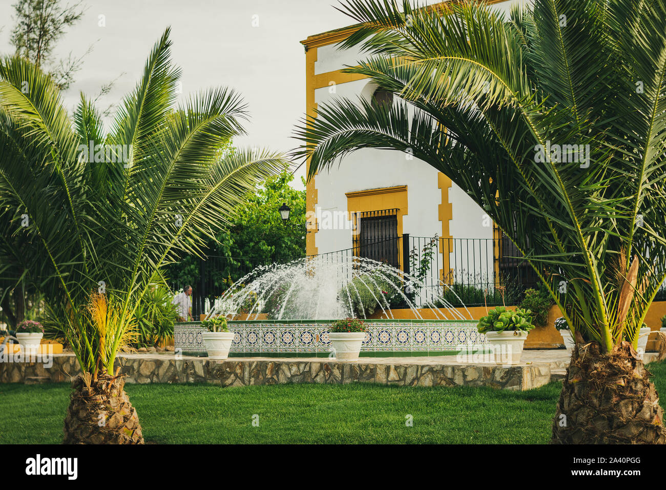 Fontana con palme nel giardino esterno Foto Stock