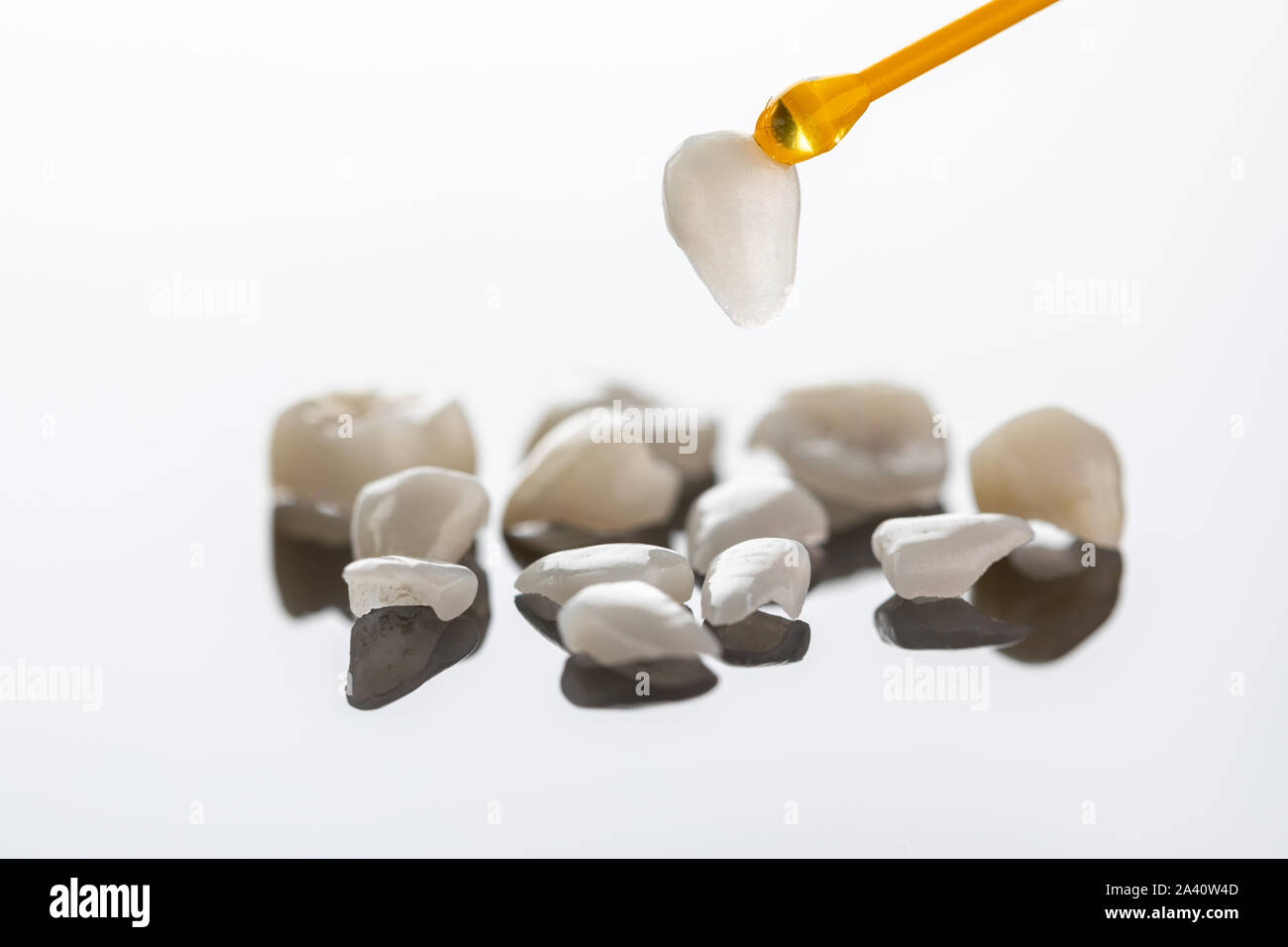 Ceramica dentale impiallacciature su sfondo bianco Foto Stock