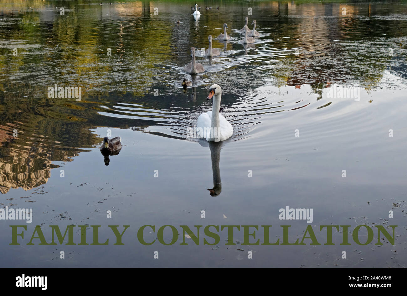 Costellazione familiare Foto Stock