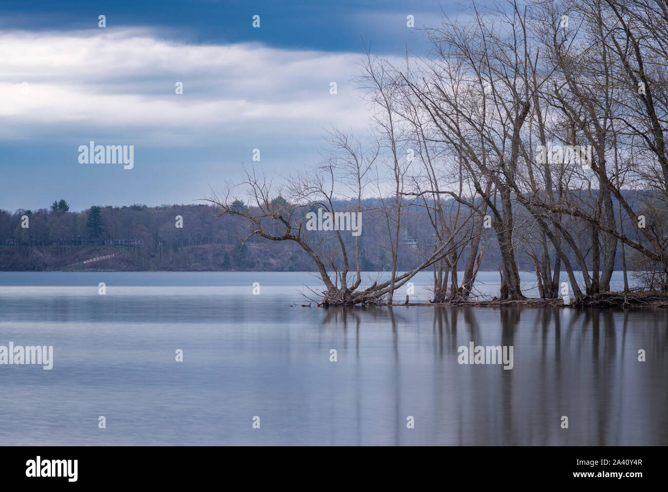 Piccola isola nel mezzo del lago di Delta State Park, Roma, New York Foto Stock