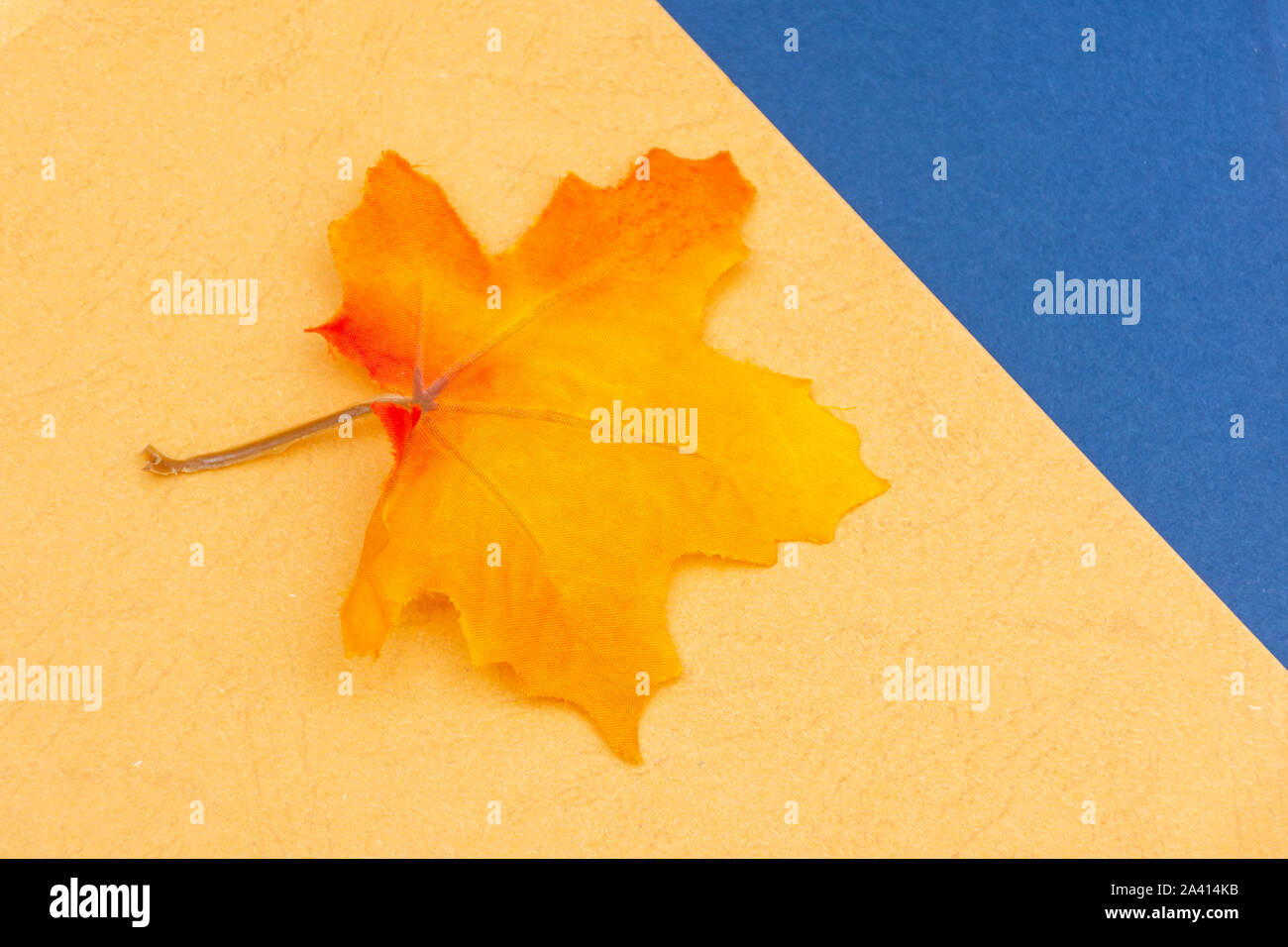 Calda e Fredda stagionale autunno blu e giallo con flatlay festosa maple leaf per aprire il concetto di copia e la disponibilità di spazio. Foto Stock