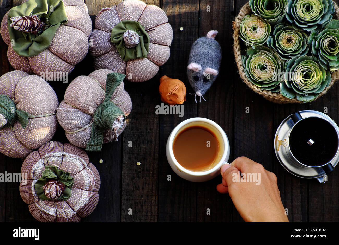 Vista superiore tazza da caffè, cestino di rose verde, gruppo di zucca fatti a mano per ornamento d'autunno, la sfera di filato per la maglia a livello caffè del mattino Tempo sul legno nero Foto Stock