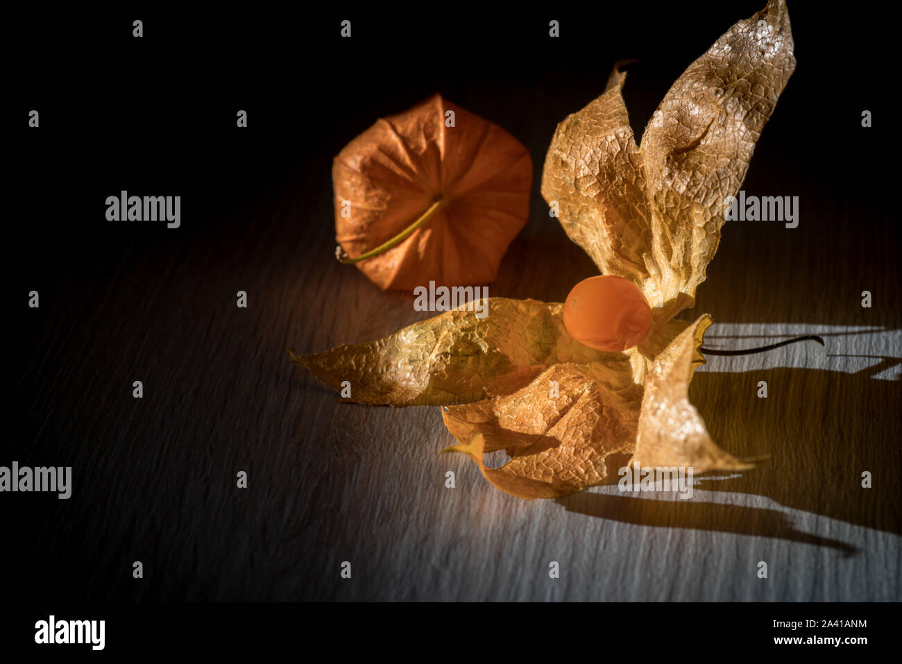 Physalis alkekengi frutta con la buccia Foto Stock