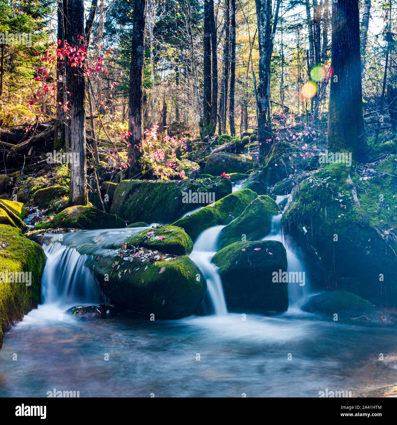 Il paesaggio della zona montuosa e il bosco in autunno in Yichun City, a nord-est della Cina di Heilongjiang Provincia su settembre 30th, 2019. Foto Stock